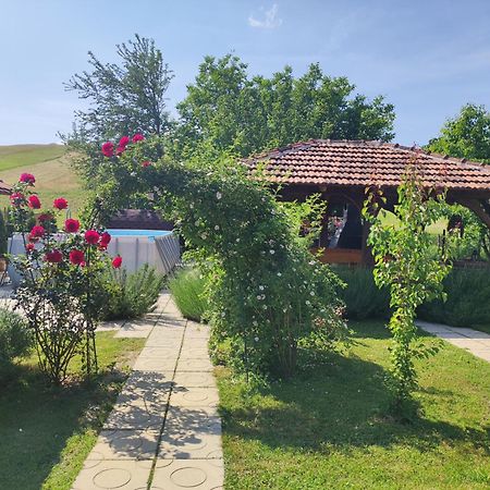 Hotel Pod Orehom Drvena Kuca I Sauna Krapina Exterior foto