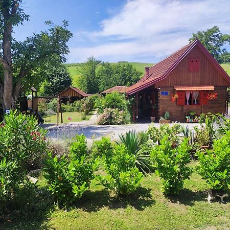 Hotel Pod Orehom Drvena Kuca I Sauna Krapina Exterior foto