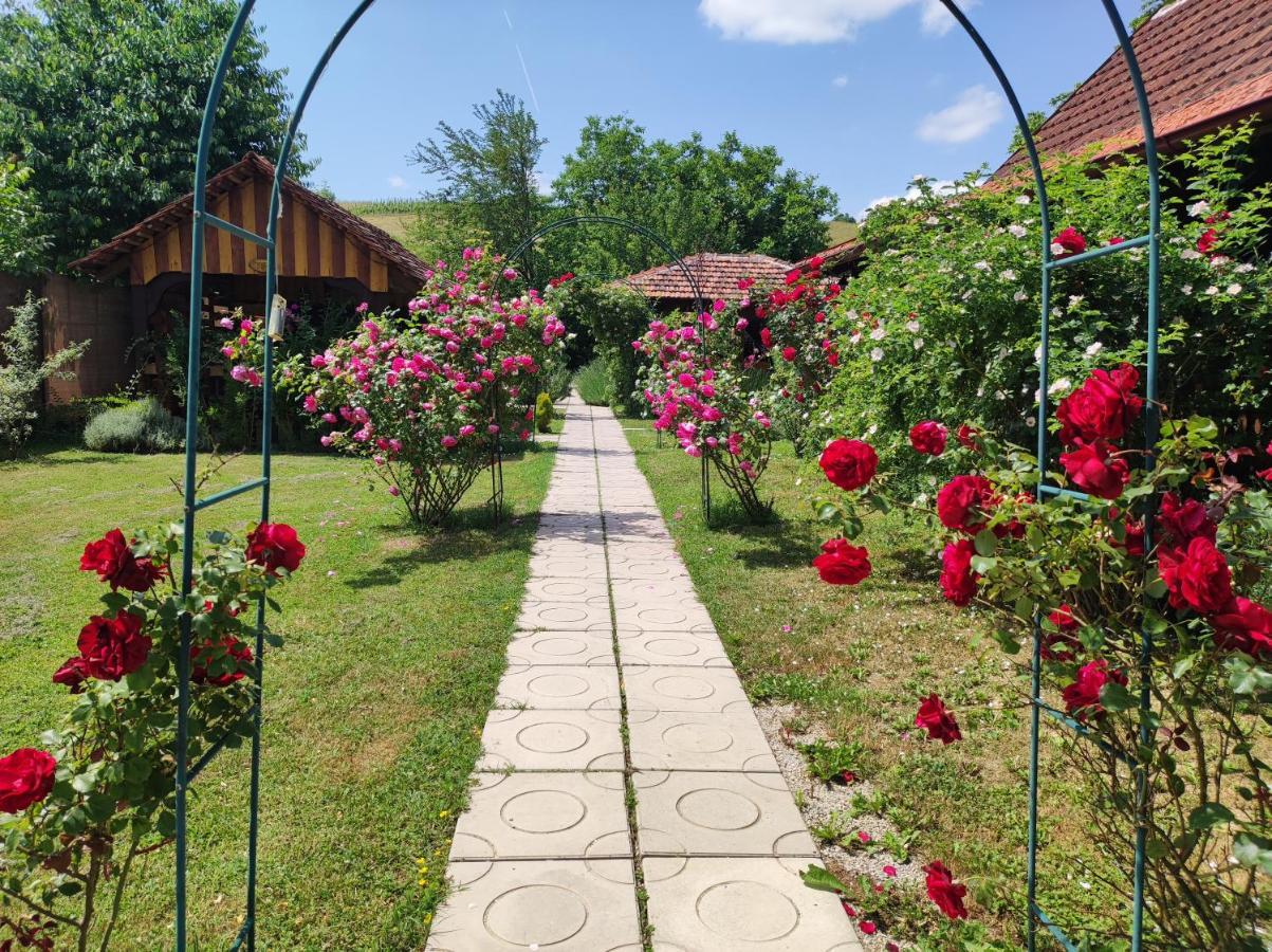 Pod Orehom Drvena Kuca I Sauna Krapina Exterior foto