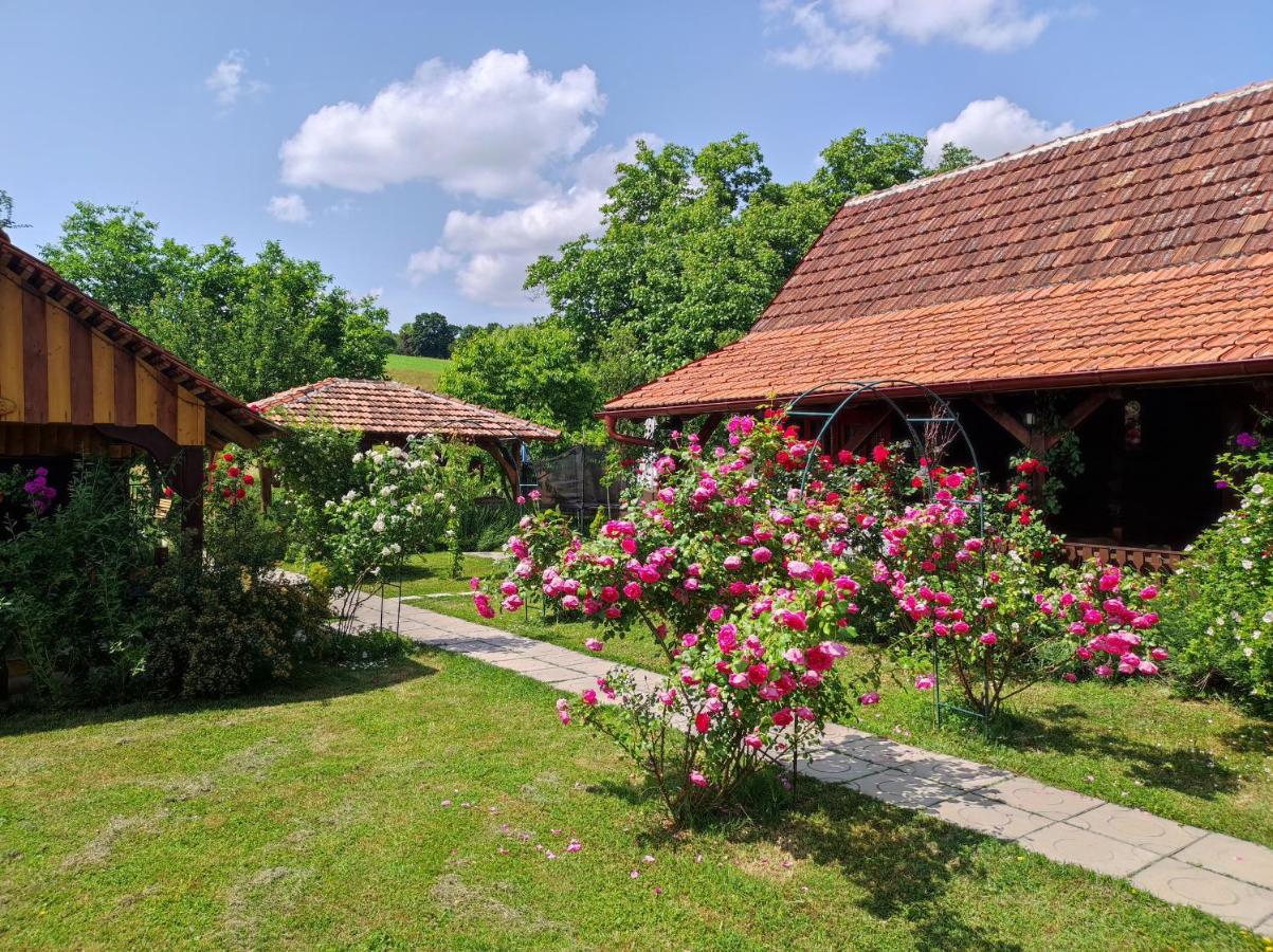 Hotel Pod Orehom Drvena Kuca I Sauna Krapina Exterior foto