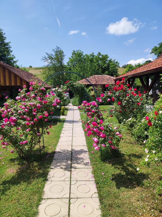 Hotel Pod Orehom Drvena Kuca I Sauna Krapina Exterior foto