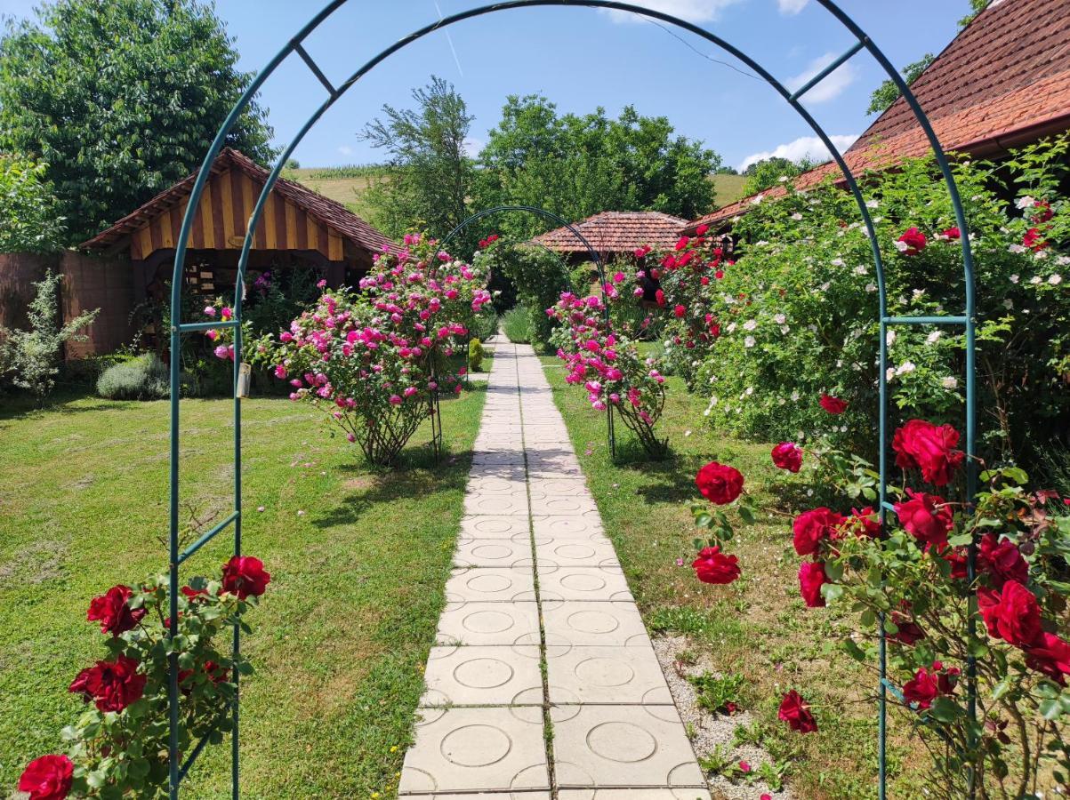 Hotel Pod Orehom Drvena Kuca I Sauna Krapina Exterior foto